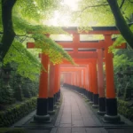 Japan Without Crowds